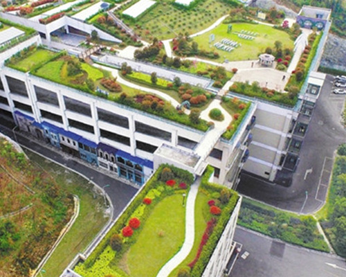 夏天應該怎樣養護植物墻？